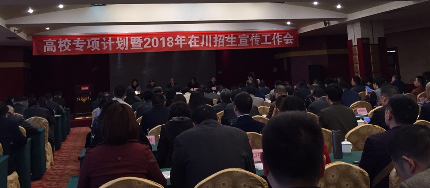调教母狗