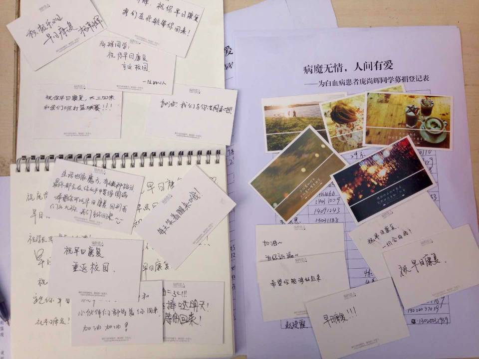 调教母狗