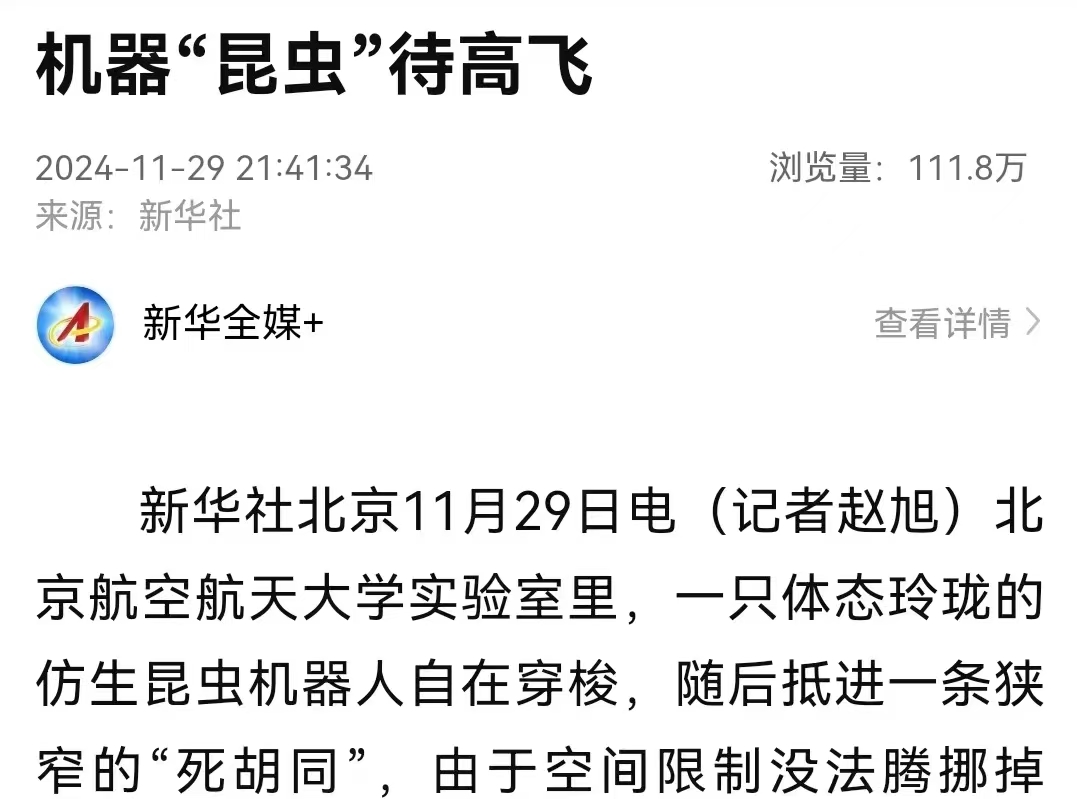 调教母狗