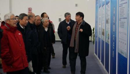 调教母狗