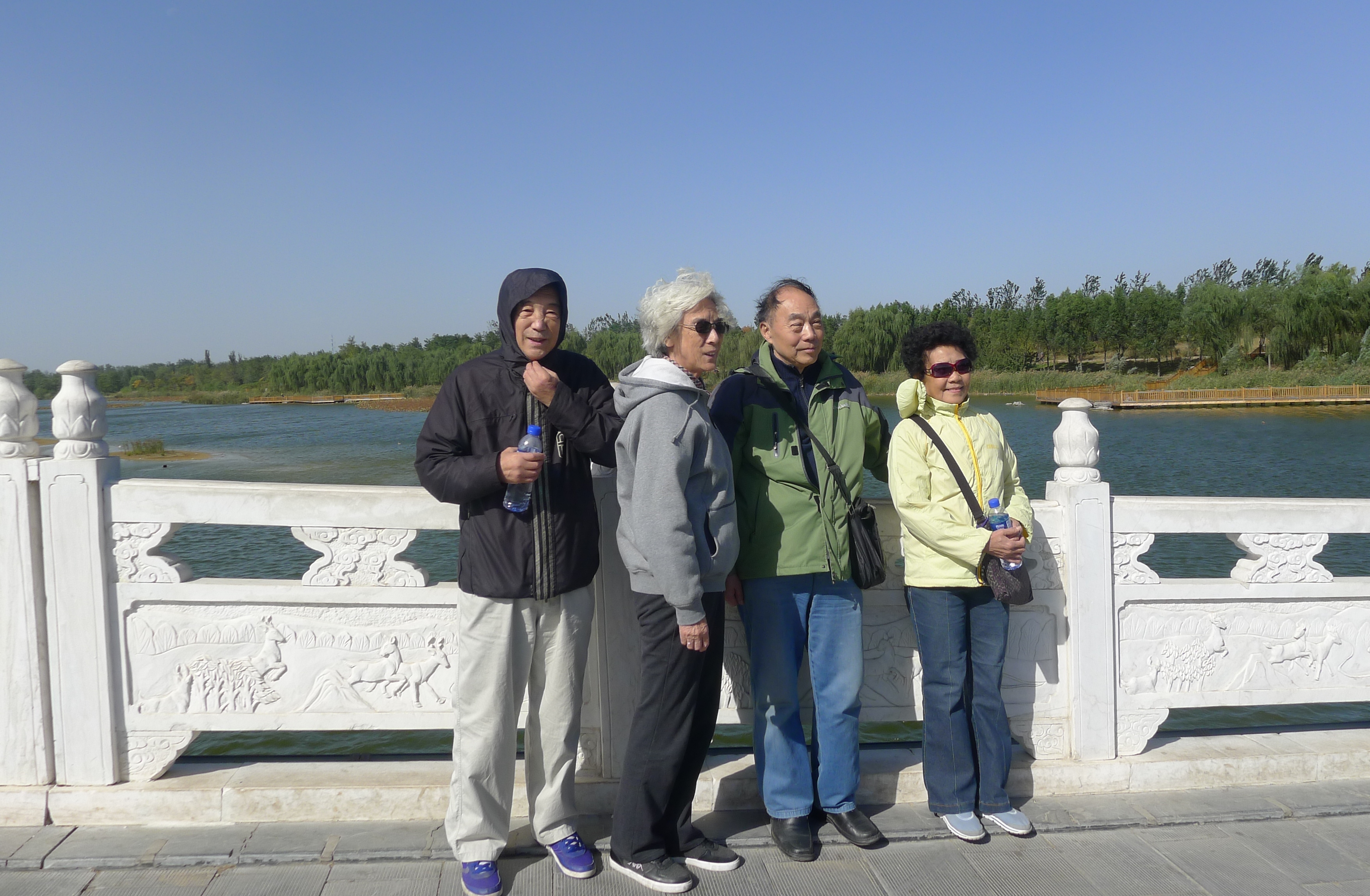 调教母狗