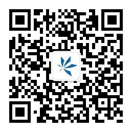 调教母狗